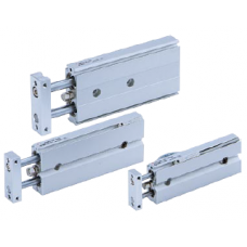 Dual Rod Cylinder CXSJ